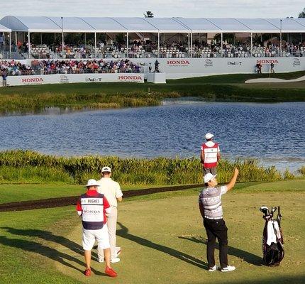 IM checking wind. Honda Lassic 2020 last day