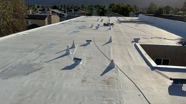 Tpo roofing