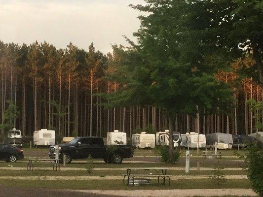 The trees on one side of the campground.