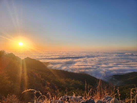 Fremont Peak State Park