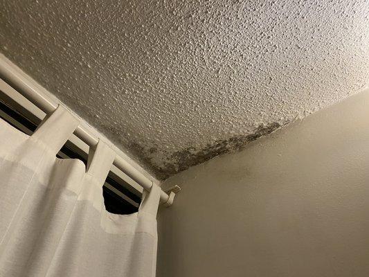 The mold problem!