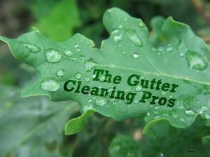 Indianapolis Gutter Cleaning