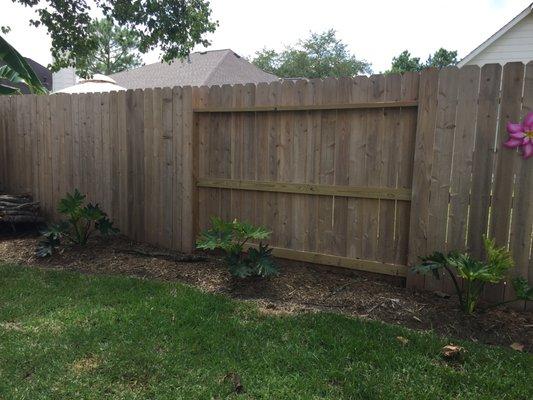 New cedar fence