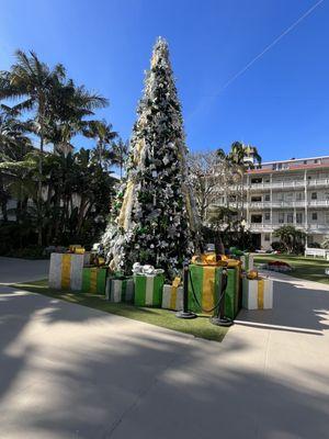 One of Coronado Hotel  Christmas trees and my sister in law picture with her daughter that flew in from Michigan