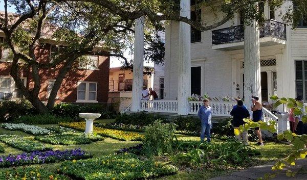 Fall Pansy Sale in the front lawn