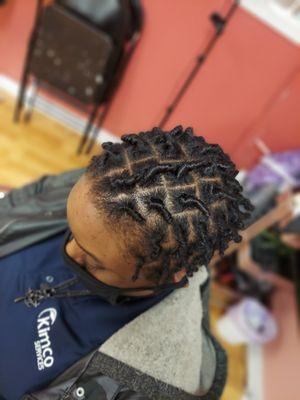 Starter Locs