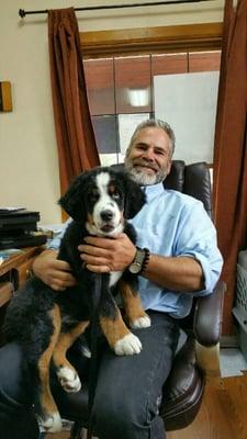 Doc and the Office Puppy