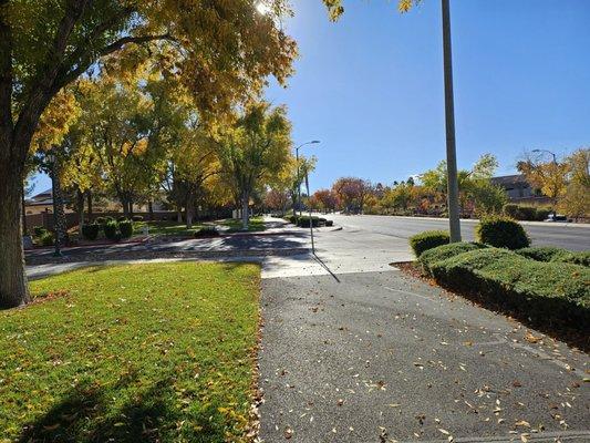 Gorgeous fall colors  around the area