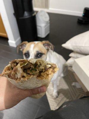 Carne asada burrito.