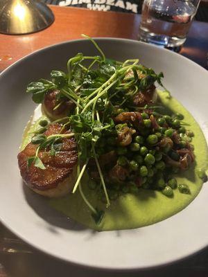 Sautés scallops with pea tendril salad