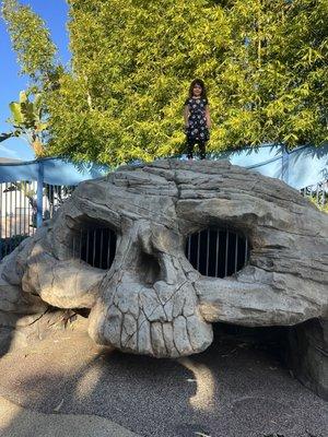 Skull rock!