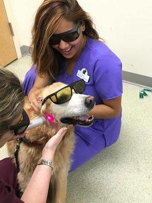 Laser Therapy