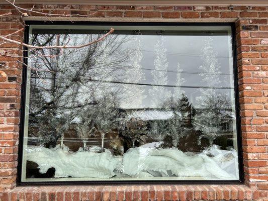 Large front window. Cat approved.