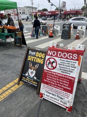 Dog policies