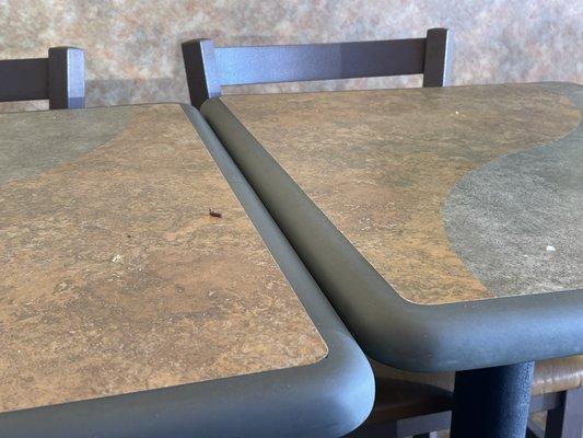 Crumbs on every table in the dining area