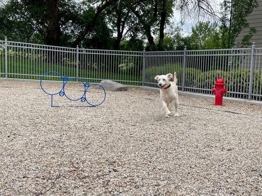 Dog park at our Fruit Heights apartments!