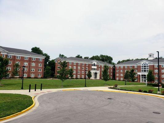 Transylvania University