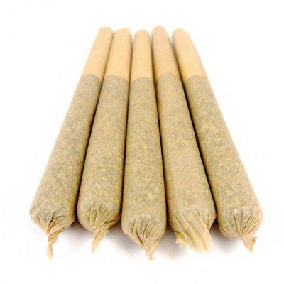 5 pack cones