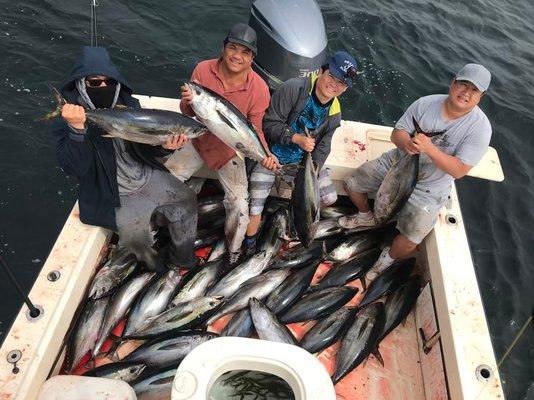 42 Yellowfin Tuna