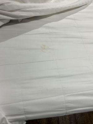 stains on bed