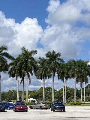 Oh Florida! What a view! Driving with this scenery is fantastic.