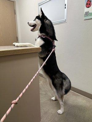 She ready to see the Doctor!