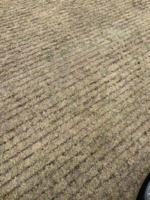 Variegated fairways.