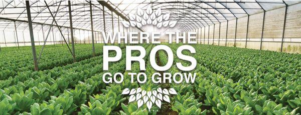 Where the Pros Go To Grow