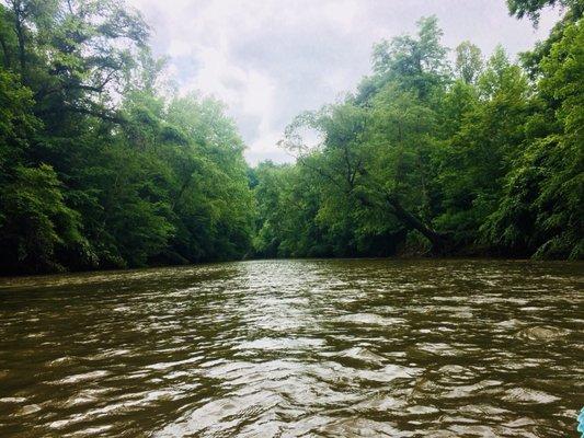 Great tubing with kids at the Dan River