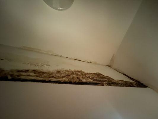 Mold in closet