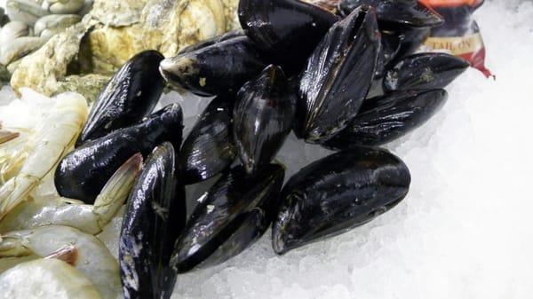 mussels