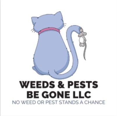 It shows my company name. My slogan and shows an image of an unwanted pest yeah and that we can get rid of it.