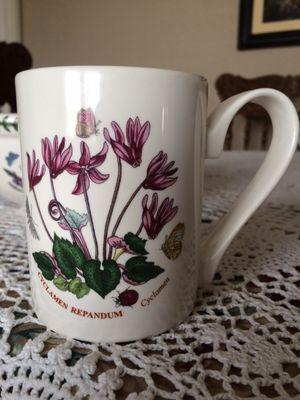 One of my purchases, Botanic Garden mug!