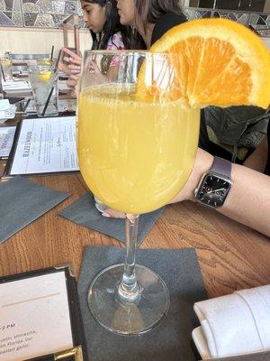 Elderflower mimosa