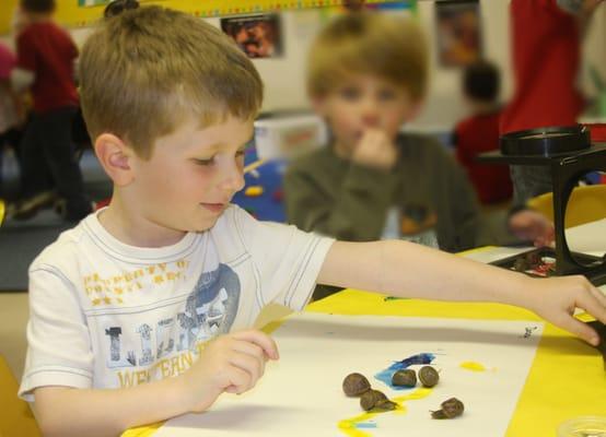 Science and Painting with snails.  Fun!