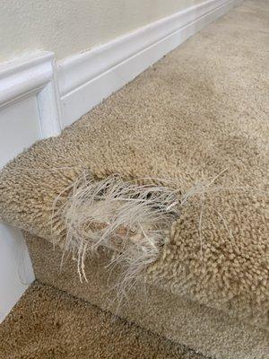 Orange County Carpet Repair & Cleaning