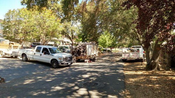 Nice quiet  neighborhood with buried secrets of too much stuff.