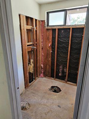 Bathroom and kitchen demo