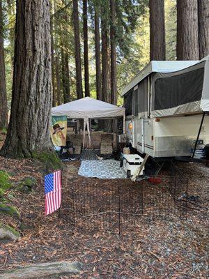 Santa Cruz Redwoods RV Resort