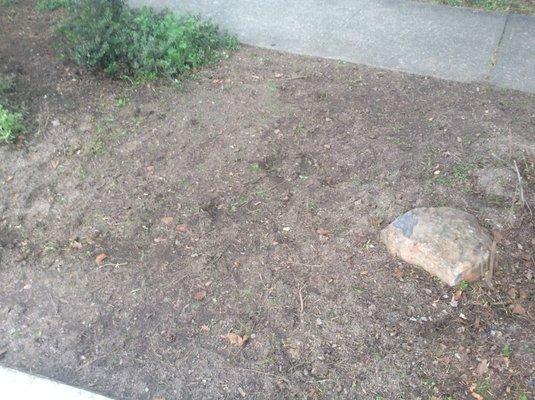 This is what LanDesign did to my drought resistant garden, now left bare!  Don’t let them destroy your garden!