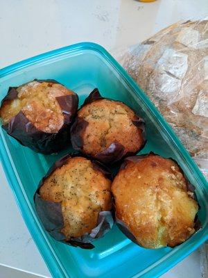 Lemon poppy and lemon ricotta muffins