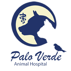 Welcome to Palo Verde Animal Hospital