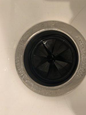 Garbage disposal cleaning