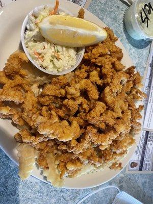 Fried Clam Strips