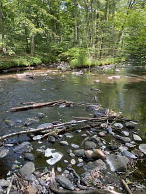 Cotton Hollow Nature Preserve