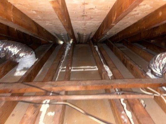 attic cleaning organization and insulation!