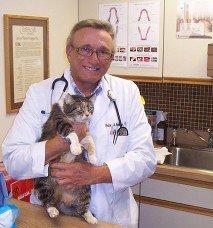 Dr. Brenner with his feline patient