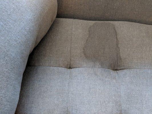 Sofa before picture Wine Stain