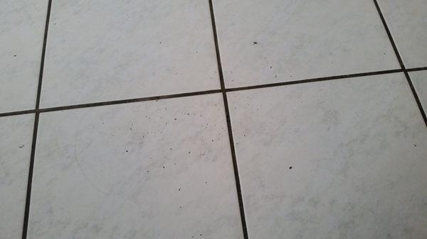 Wire pieces all over the kitchen floor.