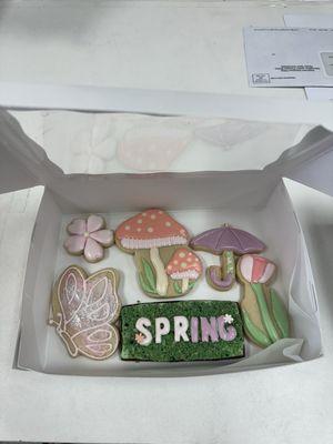 Spring Cookie Decorating Class